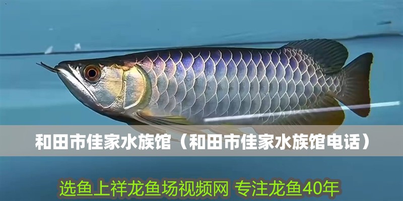 和田市佳家水族館（和田市佳家水族館電話）