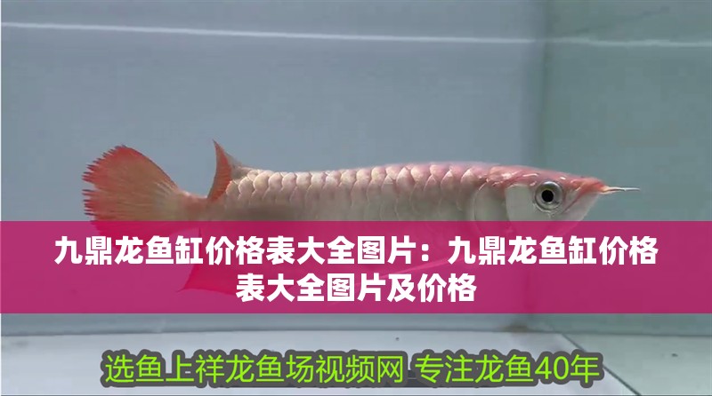 九鼎龍魚(yú)缸價(jià)格表大全圖片：九鼎龍魚(yú)缸價(jià)格表大全圖片及價(jià)格