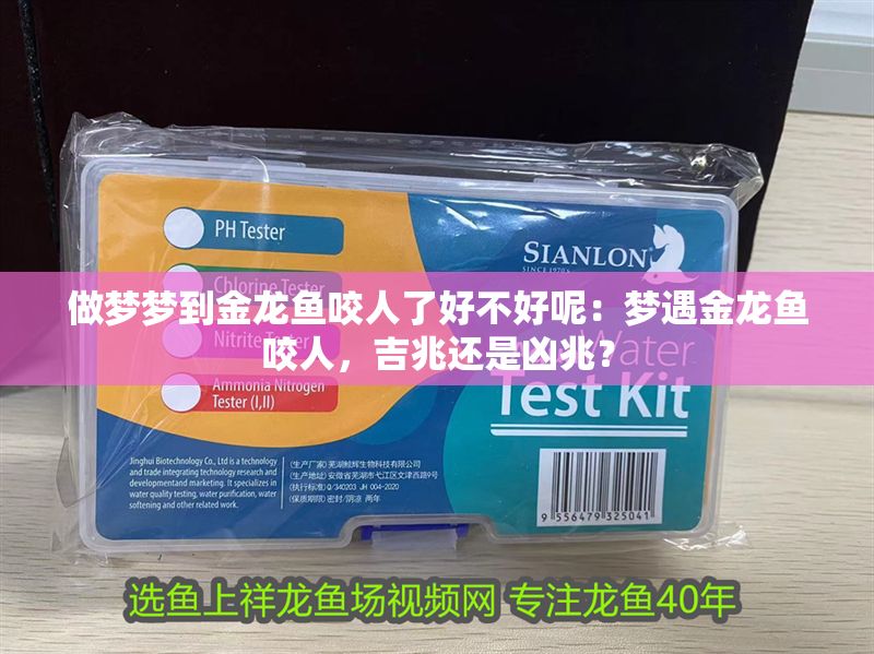 做夢夢到金龍魚咬人了好不好呢：夢遇金龍魚咬人，吉兆還是兇兆？