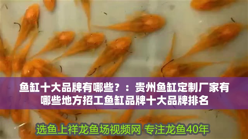 魚缸十大品牌有哪些？：貴州魚缸定制廠家有哪些地方招工魚缸品牌十大品牌排名