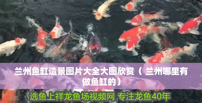 蘭州魚缸造景圖片大全大圖欣賞（ 蘭州哪里有做魚缸的）