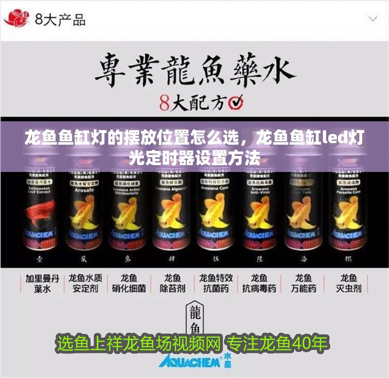 龍魚魚缸燈的擺放位置怎么選，龍魚魚缸led燈光定時器設置方法