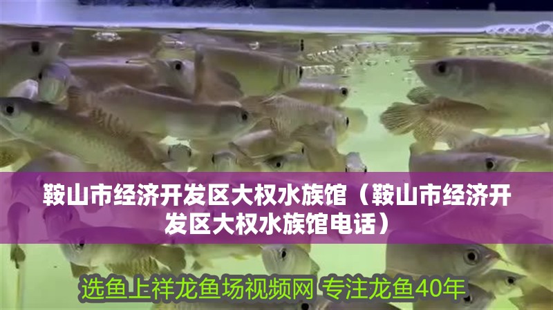 鞍山市經濟開發區大權水族館(鞍山市經濟開發區大權水族館電話) 全國水族館企業名錄 第2張 鞍山市經濟開發區大權水族館(鞍山市經濟開發區大權水族館電話) 鞍山市經濟開發區大權水族館(鞍山市經濟開發區大權水族館電話) 全國水族館企業名錄 第2張