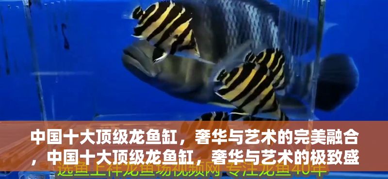 中國十大頂級龍魚缸，奢華與藝術的完美融合，中國十大頂級龍魚缸，奢華與藝術的極致盛宴