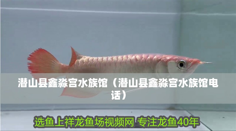 潛山縣鑫淼宮水族館（潛山縣鑫淼宮水族館電話） 潛山縣鑫淼宮水族館（潛山縣鑫淼宮水族館電話） 全國水族館企業名錄 第1張