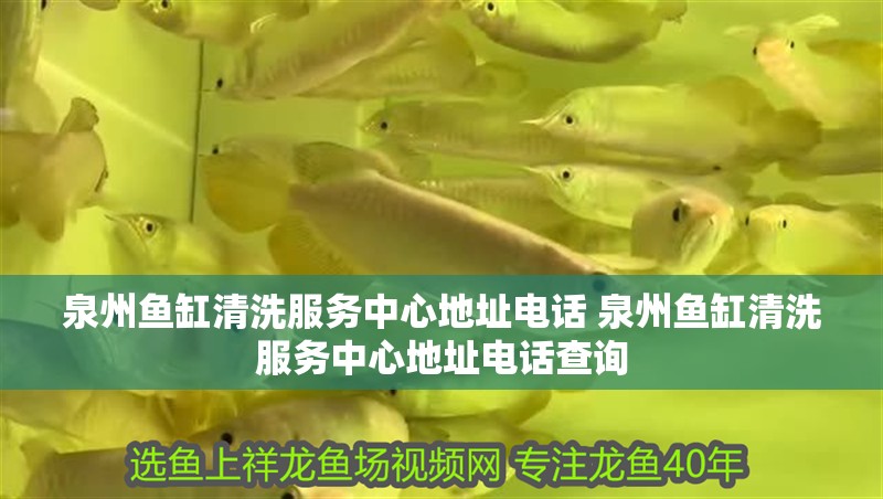 泉州魚缸清洗服務中心地址電話 泉州魚缸清洗服務中心地址電話查詢