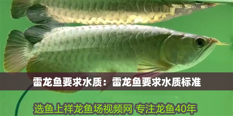 雷龍魚要求水質：雷龍魚要求水質標準