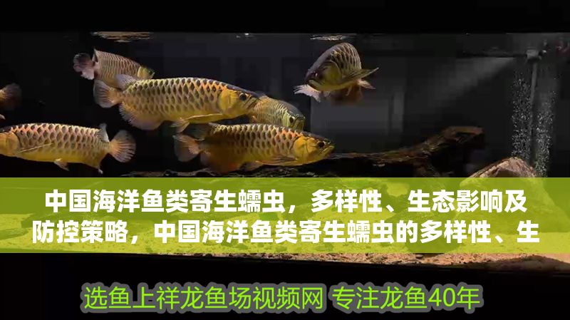 中國海洋魚類寄生蠕蟲，多樣性、生態影響及防控策略，中國海洋魚類寄生蠕蟲的多樣性、生態影響與防控策略研究