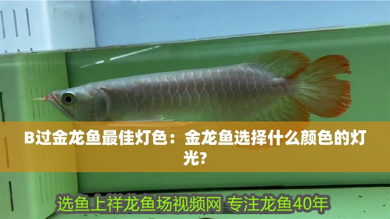 創(chuàng)寧水泵廠家在哪里啊最近(創(chuàng)寧水泵廠家地址)