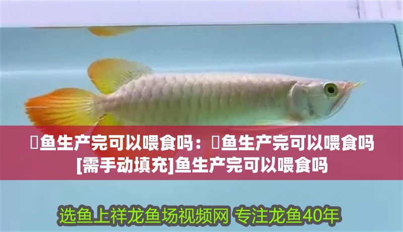 魟魚生產完可以喂食嗎：魟魚生產完可以喂食嗎[需手動填充]魚生產完可以喂食嗎