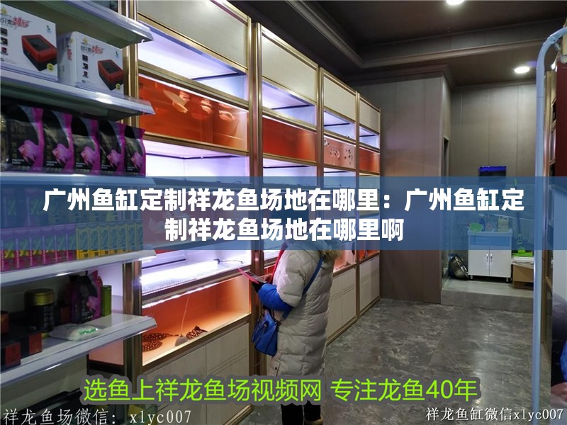 廣州魚缸定制祥龍魚場地在哪里：廣州魚缸定制祥龍魚場地在哪里啊