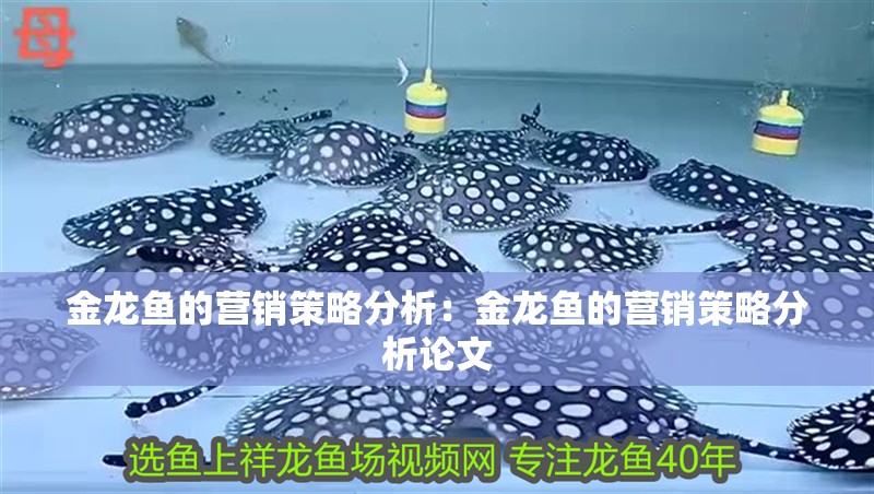 金龍魚的營銷策略分析：金龍魚的營銷策略分析論文
