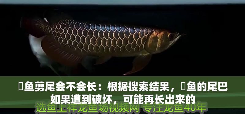 魟魚剪尾會不會長：根據搜索結果，魟魚的尾巴如果遭到破壞，可能再長出來的