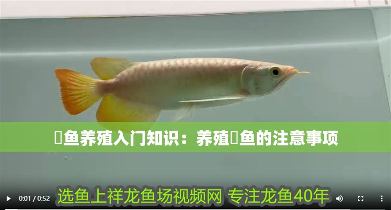 魟魚養殖入門知識:養殖魟魚的注意事項 魟魚百科 第2張 魟魚養殖入門知識:養殖魟魚的注意事項 魟魚養殖入門知識:養殖魟魚的注意事項 魟魚百科 第2張