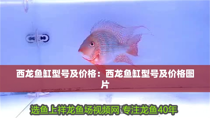 西龍魚缸型號及價格：西龍魚缸型號及價格圖片