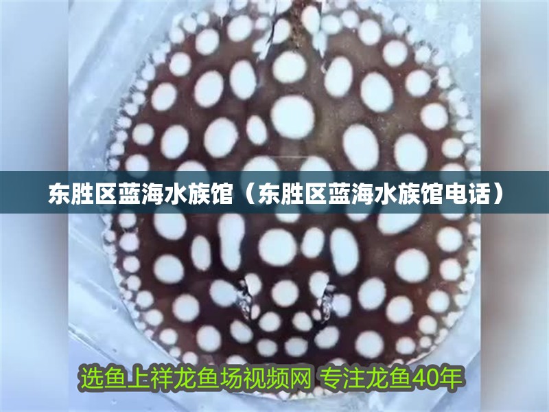 東勝區藍海水族館（東勝區藍海水族館電話）