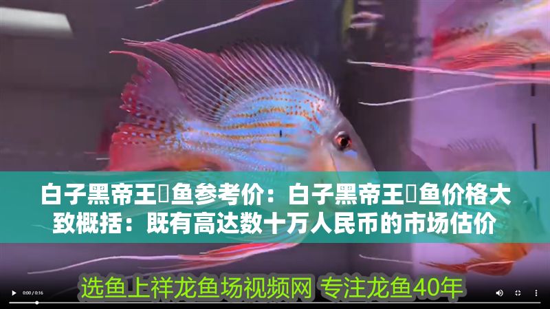 白子黑帝王魟魚參考價：白子黑帝王魟魚價格大致概括：既有高達數十萬人民幣的市場估價