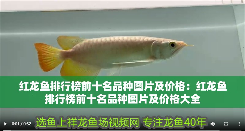 紅龍魚排行榜前十名品種圖片及價格：紅龍魚排行榜前十名品種圖片及價格大全