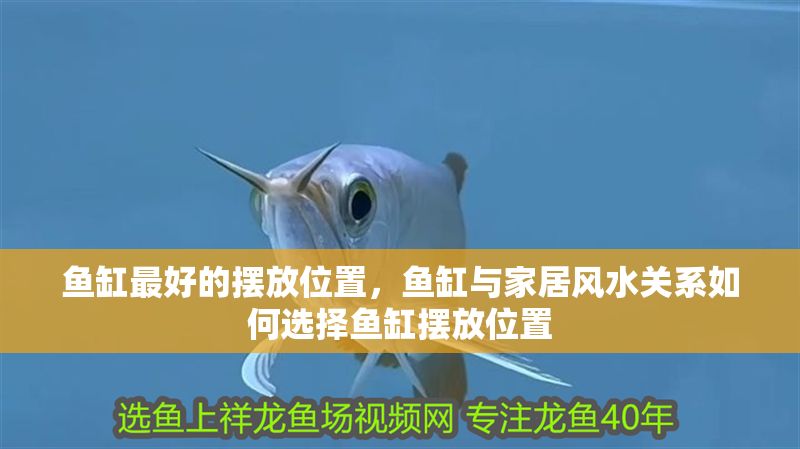 魚缸最好的擺放位置，魚缸與家居風(fēng)水關(guān)系如何選擇魚缸擺放位置