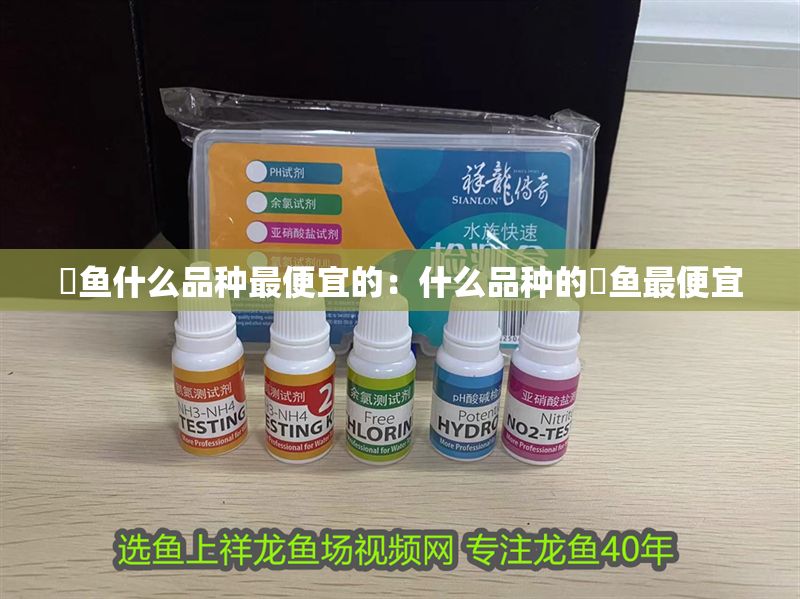 魟魚什么品種最便宜的：什么品種的魟魚最便宜