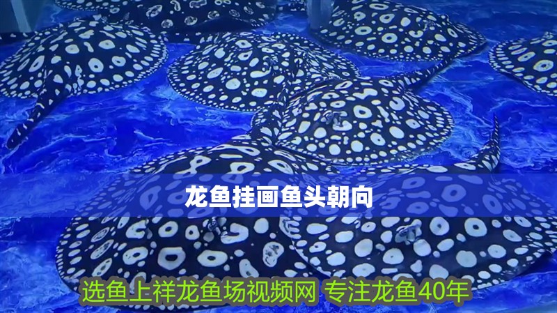 龍魚掛畫魚頭朝向