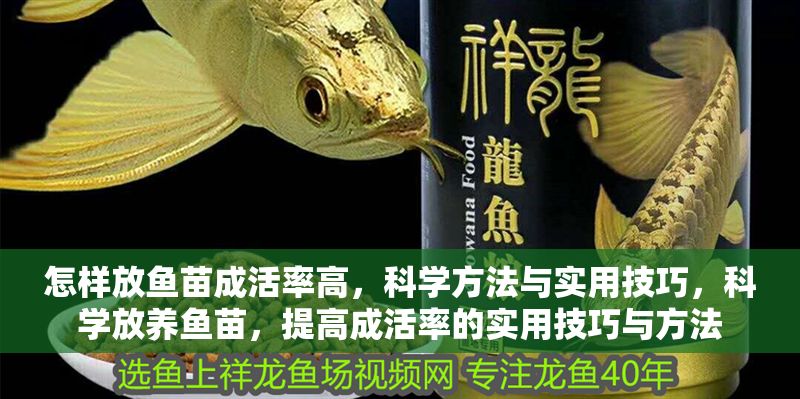 怎樣放魚苗成活率高，科學方法與實用技巧，科學放養魚苗，提高成活率的實用技巧與方法