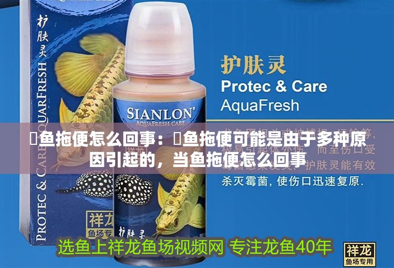 魟魚(yú)拖便怎么回事：魟魚(yú)拖便可能是由于多種原因引起的，當(dāng)魚(yú)拖便怎么回事