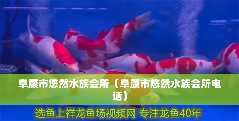 阜康市悠然水族會所（阜康市悠然水族會所電話）