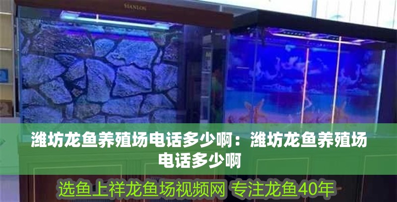 濰坊龍魚養殖場電話多少啊：濰坊龍魚養殖場電話多少啊