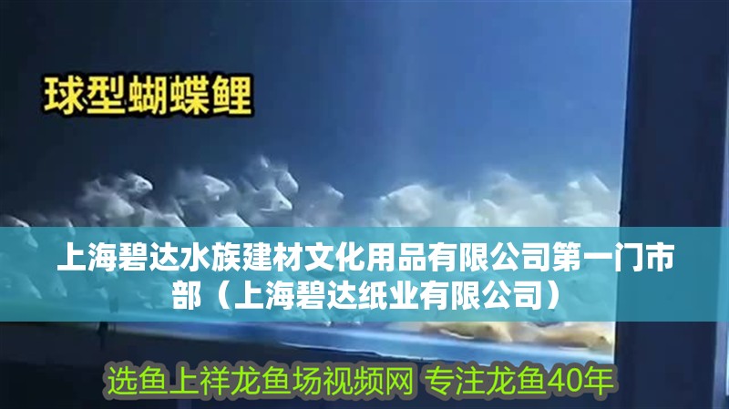 上海碧達水族建材文化用品有限公司第一門市部（上海碧達紙業有限公司）