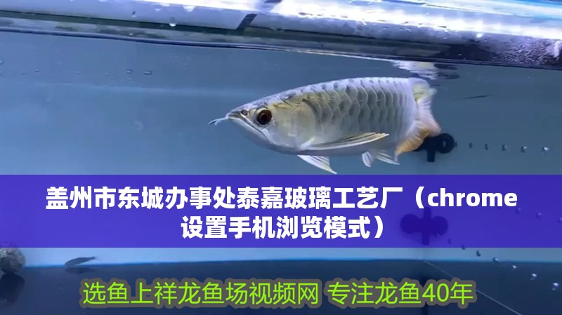 蓋州市東城辦事處泰嘉玻璃工藝廠（chrome設置手機瀏覽模式）