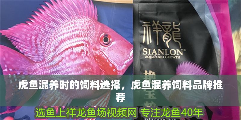 虎魚混養時的飼料選擇，虎魚混養飼料品牌推薦