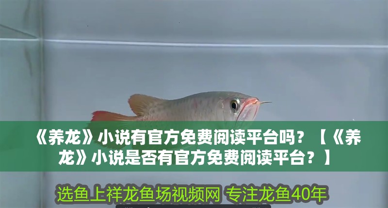 《養龍》小說有官方免費閱讀平臺嗎？【《養龍》小說是否有官方免費閱讀平臺？】