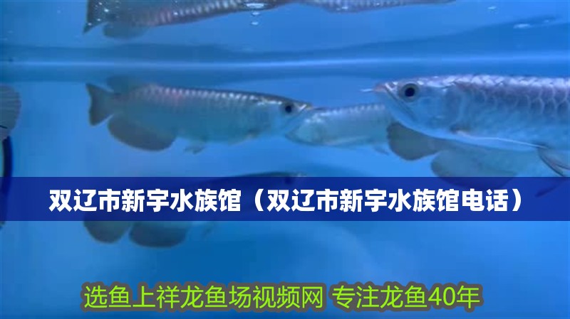 雙遼市新宇水族館（雙遼市新宇水族館電話）