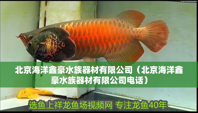 北京海洋鑫豪水族器材有限公司（北京海洋鑫豪水族器材有限公司電話）