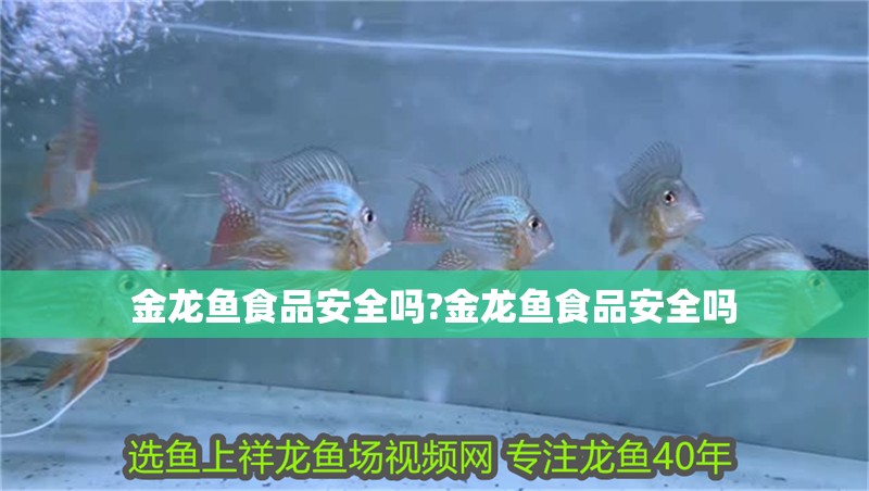 金龍魚食品安全嗎?金龍魚食品安全嗎