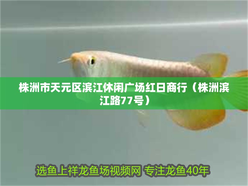 株洲市天元區濱江休閑廣場紅日商行（株洲濱江路77號）