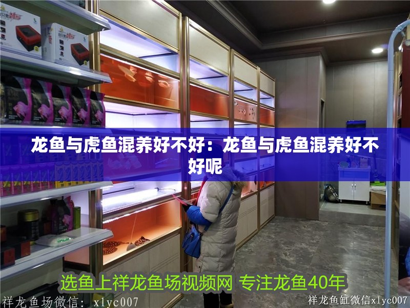 龍魚與虎魚混養好不好：龍魚與虎魚混養好不好呢