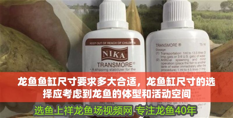 龍魚魚缸尺寸要求多大合適，龍魚缸尺寸的選擇應(yīng)考慮到龍魚的體型和活動(dòng)空間