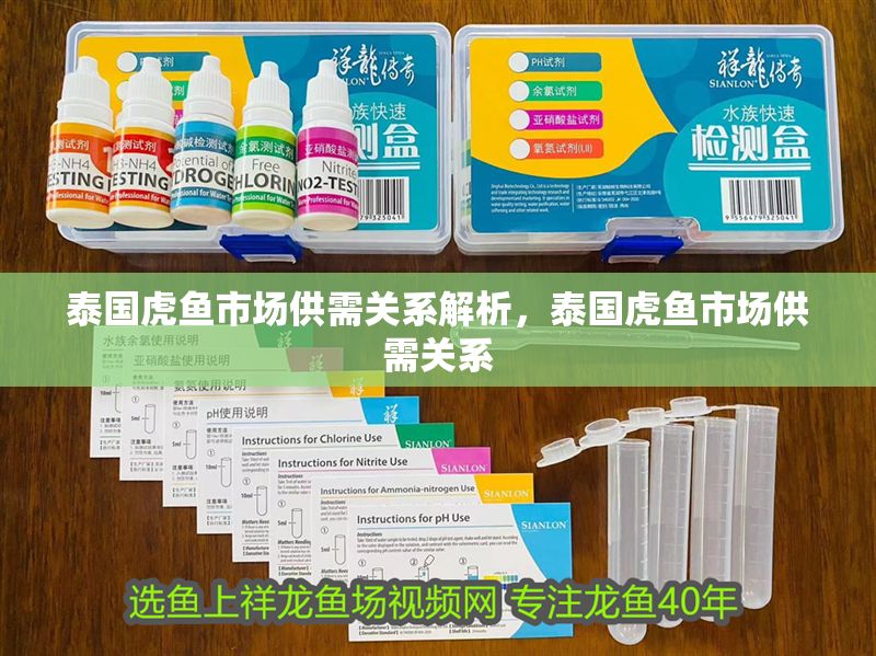 泰國虎魚市場供需關系解析，泰國虎魚市場供需關系