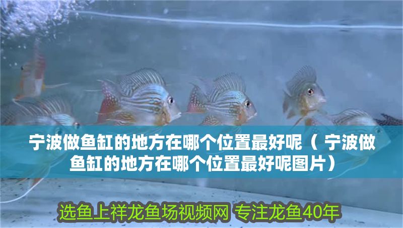 寧波做魚缸的地方在哪個位置最好呢（ 寧波做魚缸的地方在哪個位置最好呢圖片）