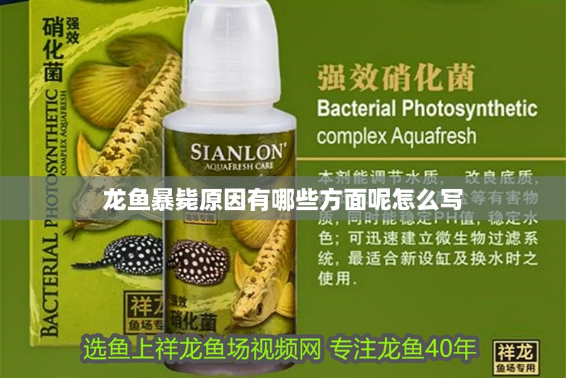 龍魚暴斃原因有哪些方面呢怎么寫