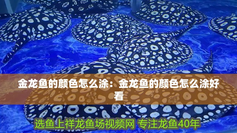 金龍魚的顏色怎么涂：金龍魚的顏色怎么涂好看