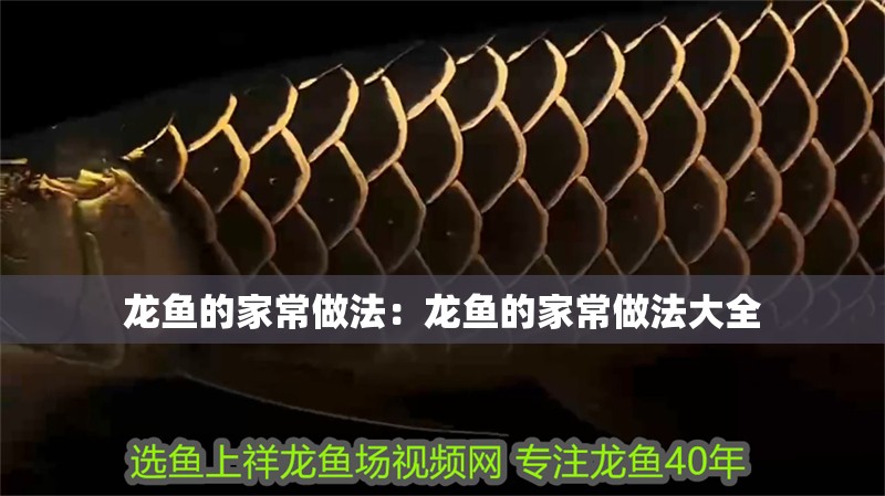 龍魚的家常做法：龍魚的家常做法大全