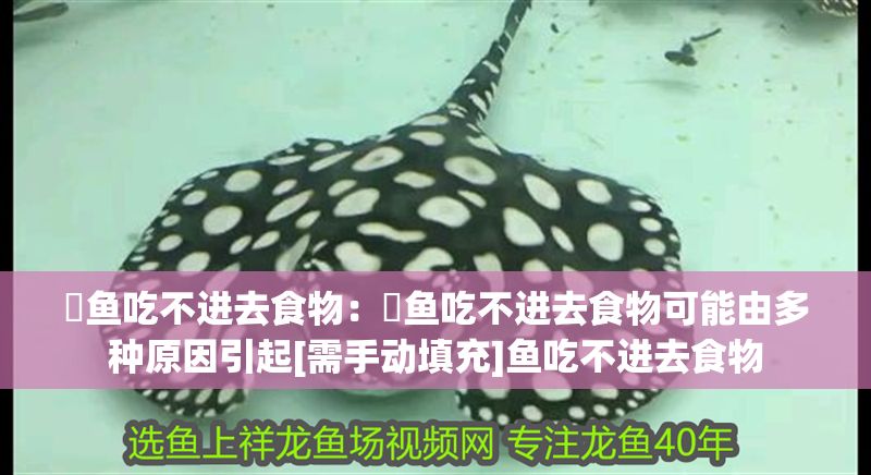 魟魚吃不進去食物：魟魚吃不進去食物可能由多種原因引起[需手動填充]魚吃不進去食物
