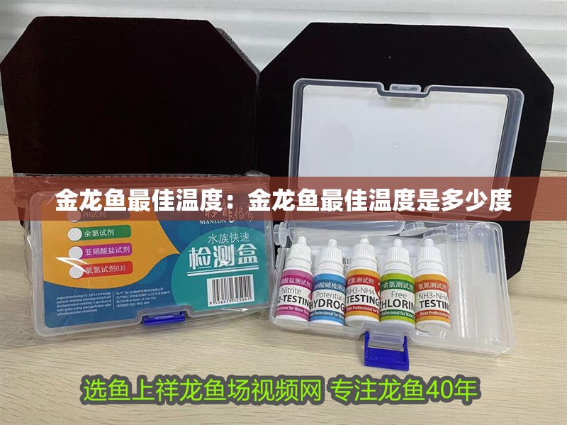 金龍魚最佳溫度：金龍魚最佳溫度是多少度