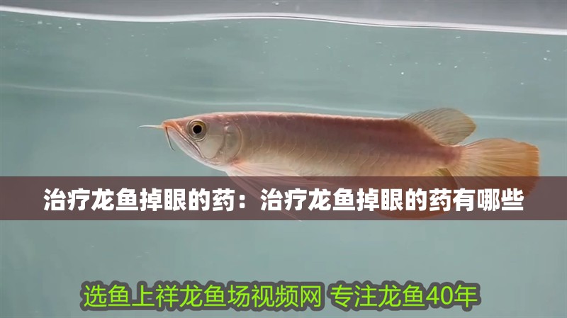 治療龍魚掉眼的藥：治療龍魚掉眼的藥有哪些