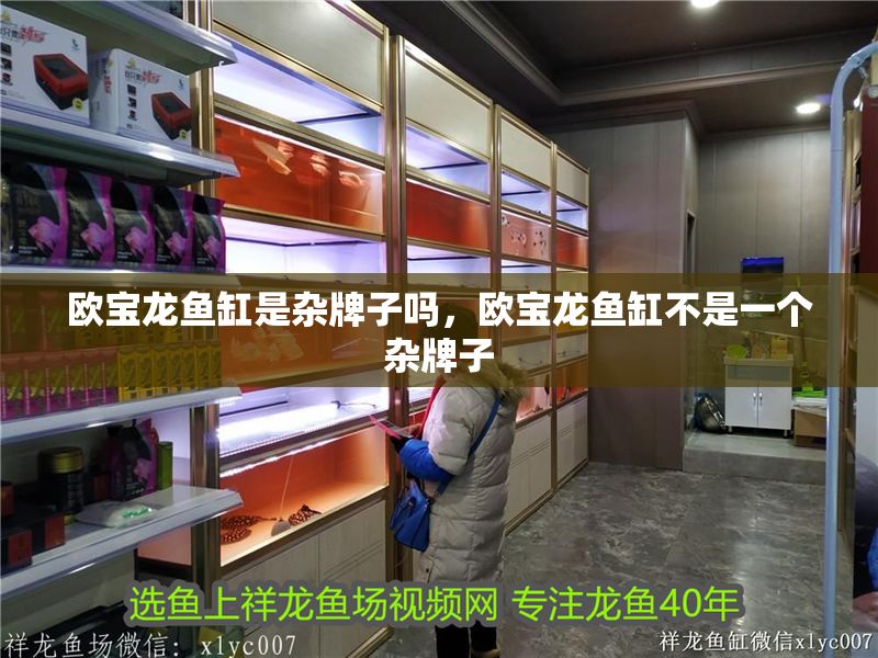 歐寶龍魚缸是雜牌子嗎，歐寶龍魚缸不是一個雜牌子
