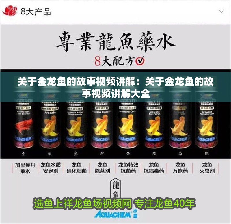關于金龍魚的故事視頻講解：關于金龍魚的故事視頻講解大全