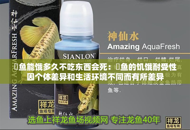 魟魚能餓多久不吃東西會死：魟魚的饑餓耐受性因個體差異和生活環境不同而有所差異